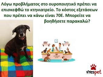 Ράτσα: Άλλη Ράτσα | Ηλικία: 4 ετών | Φύλο: Θηλυκό | Αρ. Microchip: 982121212121212 | Περιοχή: Αττική